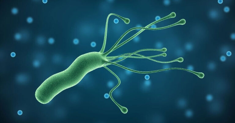 H. pylori