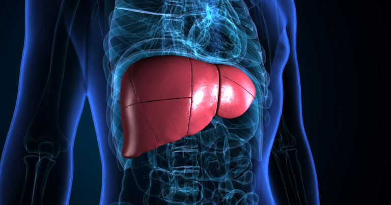 Entenda a Hepatite Autoimune: Quando o sistema imunológico confunde o fígado