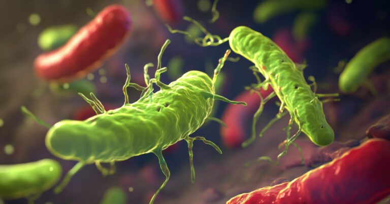 todo-h-pylori-precisa-de-tratamento